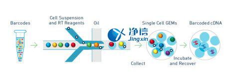 中國人自己的微流控單細(xì)胞測(cè)序儀來了！_微流控Drop-seq,微流控技術(shù)