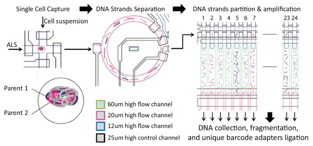 單細胞測序技術(single cell sequencing)