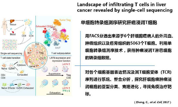 RNA-seq單細胞轉(zhuǎn)錄組測序在眼科領(lǐng)域中的研究應(yīng)用