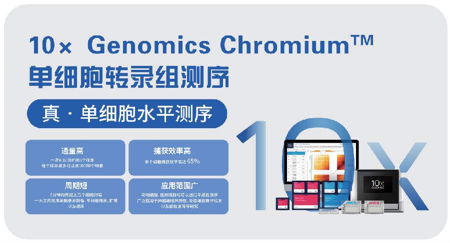 Cell：單細胞測序深度解析三陰乳腺癌_單細胞測序,單細胞測序技術(shù)