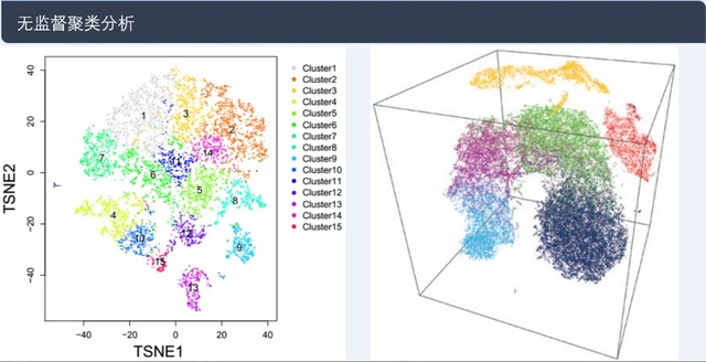 單細胞轉(zhuǎn)錄組測序(10x Genomics)詳解