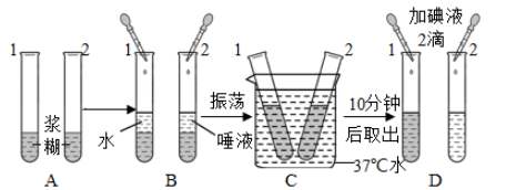 單細胞懸液制備方法